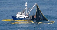 البوليزاريو تطالب الاتحاد الأوروبي بإلغاء اتفاق الصيد مع المغرب