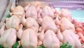 استقرار في أسعار اللحوم البيضاء