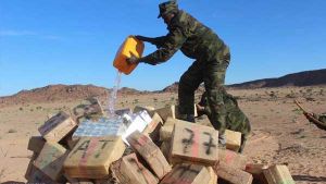 تورط المغرب في تهريب المخدرات تهديد للأمن الإقليمي