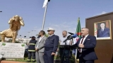 جعل مؤسسة ميناء الجزائر نموذجية قريبا