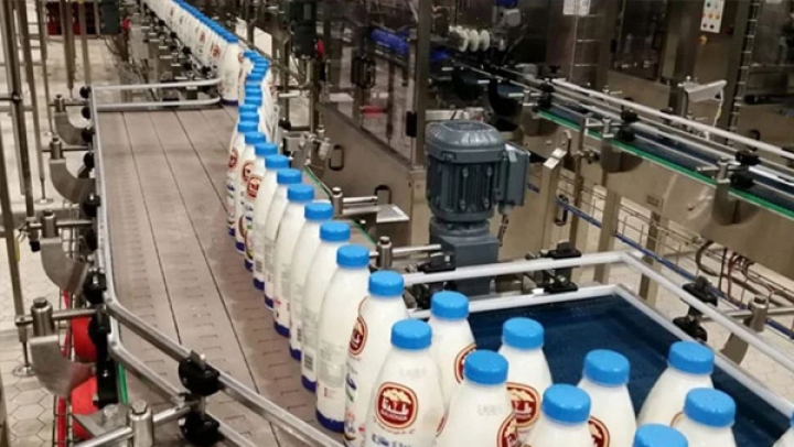 انطلاق مشروع “بلدنا” لإنتاج الحليب غدا