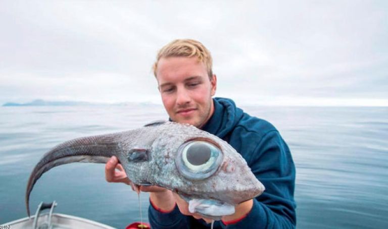 نرويجي يصطاد ”السمكة الديناصور”