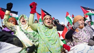 الدعوة لتوفير الحماية الدولية للصحراويين في الأجزاء المحتلة