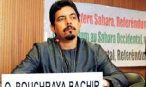 جبهة البوليزاريو تنوه بالديناميكية الإفريقية لإنهاء الاحتلال