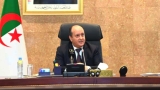 الوزير الأول، السيد سيفي غريب