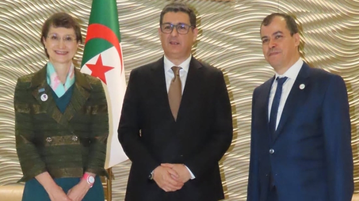 خارطة طريق للكشف المبكر والتلقيح ضد فيروس الورم الحليمي
