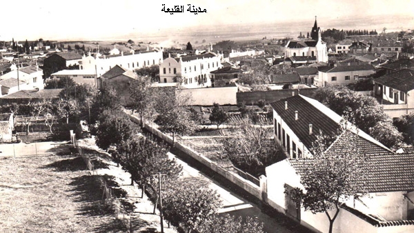 من الذاكرة