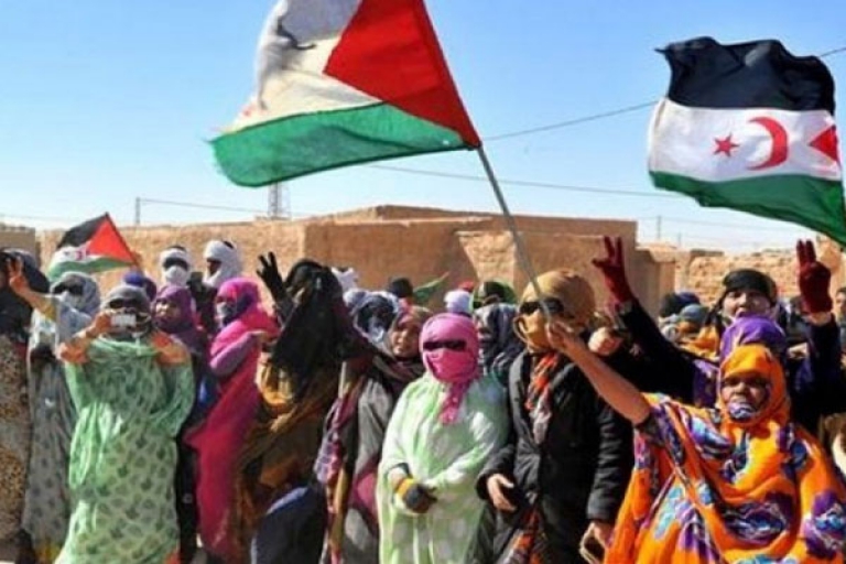 الأمم المتحدة تعتزم إعادة بعث المفاوضات حول النزاع الصحراوي