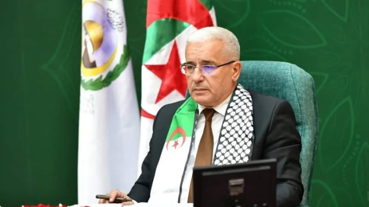 تعزيز الحضور العربي في المحافل الدولية