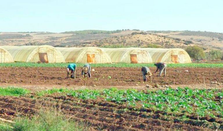 60 بالمائة من المهنيين لا يملكون بطاقة فلاح