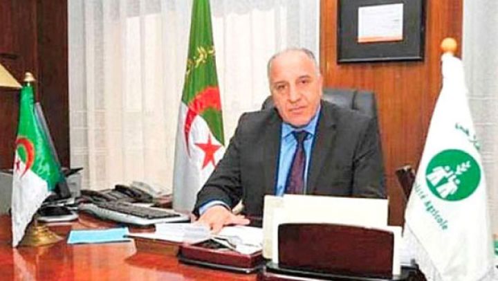 تحويل صندوق التعاون الفلاحي لـ"شباك موحّد" هدفنا
