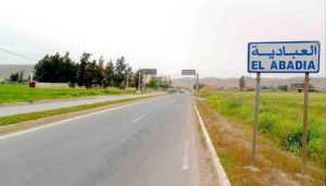 ربط 1138 عائلة مسكن بالغاز الطبيعي