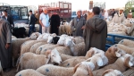 الموّالون يثرون قانون السهوب الأسبوع المقبل