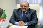 مساهل يؤكد تمسك الجزائر بالحل السياسي للأزمة الليبية