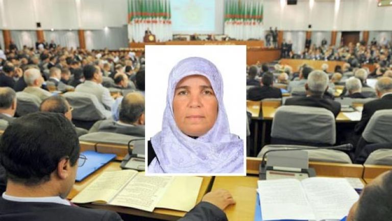 القانون يمنح للحكومة 45 يوما لعرض مخطط عملها