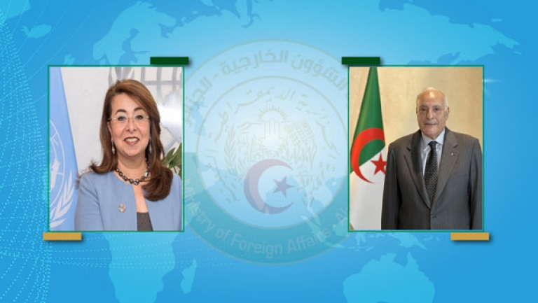 إبراز جهود الجزائر في مكافحة الجريمة المنظمة
