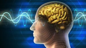 علماء أمريكيون يبتكرون نموذجا لتغيير نشاط الدماغ