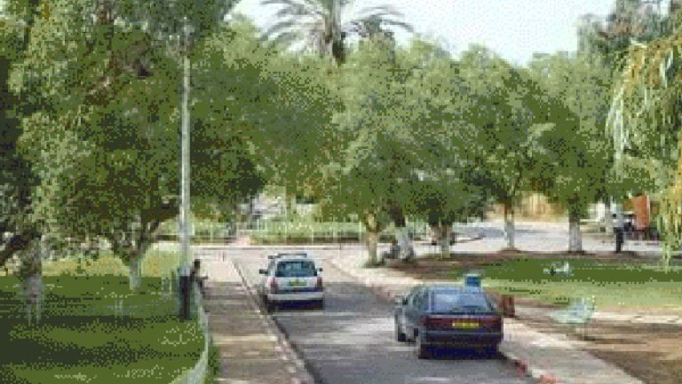 الولاية في المراتب الأخيرة وطنيا