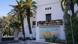 الشباب ركيزة أساسية في بناء الجزائر الجديدة