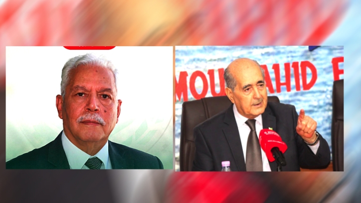 الانتقال من المبادرات المتفرقة إلى الثورة المنظمة