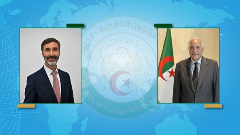 دعم مشترك لأولوية فرض وقف إطلاق النار في قطاع غزة
