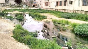 بدون تعليق