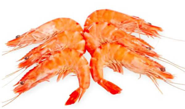 تصدير 120 طنا من الأسماك نحو إسبانيا