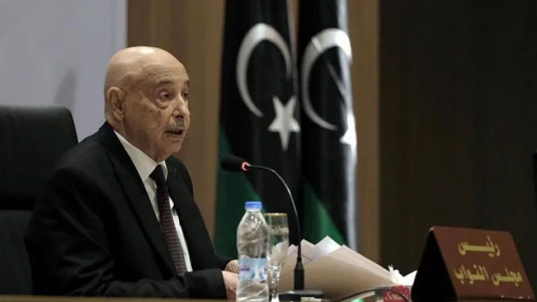 عقيلة صالح يكشف عن خارطة طريق ليبية لتنظيم الانتخابات