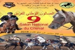انطلاق المهرجان الوطني الـ9 للفرس اليوم
