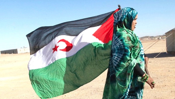 "أوكوكو" تعقد ندوتها الـ47 بتوليدو