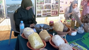 الحظيرة الوطنية تطالب بالقطف العقلاني للأعشاب