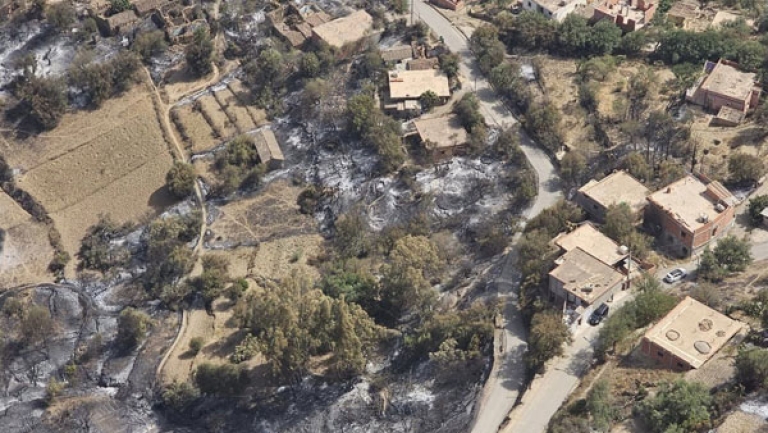 24 ساعة فقط لإخماد جميع الحرائق