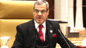 رئيس المجلس الوطني الاقتصادي والاجتماعي والبيئي، سيدي محمد بوشناق خلادي