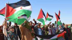 المغرب والأمم المتحدة مسؤولان عن شلّ خطة التسوية