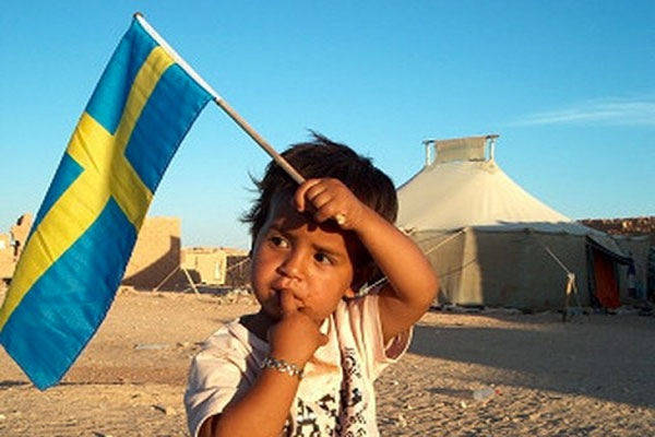 حملة مغربية مسعورة ضد السويد