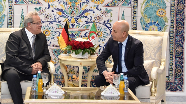 تطوير آليات مكافحة التهديدات الأمنية العابرة للحدود