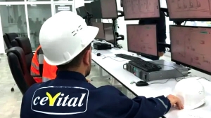 الزيت من الحقل إلى المائدة.. وعد الرئيس يتحقق