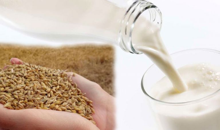 إجراءات جديدة بخصوص دعم الحليب والقمح