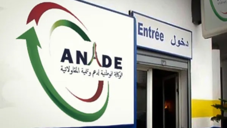 414 ألف مشروع مؤسسة ناشئة لدى وكالة “أناد”