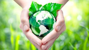 مركز مغاربي متخصص في التصميم الإيكولوجي