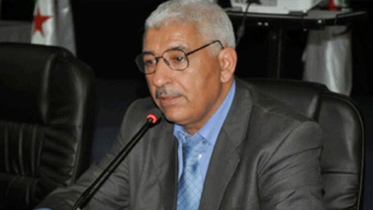 الجزائر تقدم حلولا أمثل لاستغلال الثروات الإفريقية