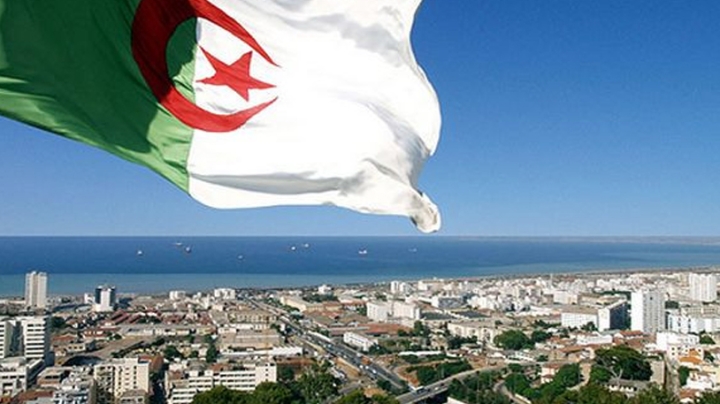 الجزائر حجر الزاوية في توحّد الصف الإفريقي