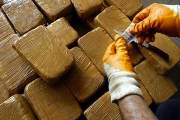 استراتيجية تشترك فيها عدة قطاعات للتحكم في انتشار المخدرات