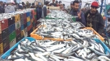 التعاونيات المهنية توسّع تنظيمها