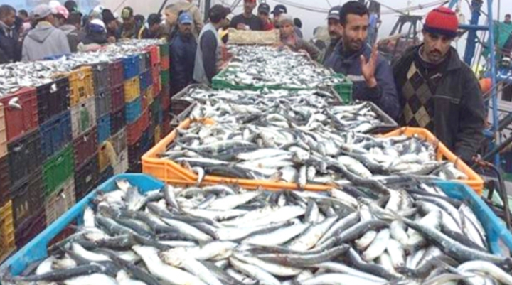 التعاونيات المهنية توسّع تنظيمها