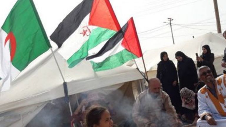 التطبيع تحالف ضد الحقوق الأساسية للشعبين الفلسطيني والصحراوي