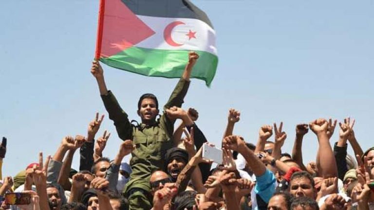 ألمانيا تصر على تفعيل عملية تقرير مصير الشعب الصحراوي