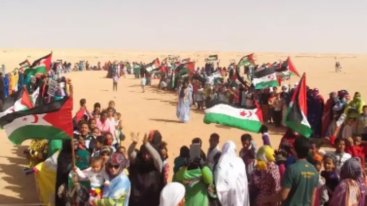 الإعلام الدولي يسلّط الضوء على صمود الشعب الصحراوي