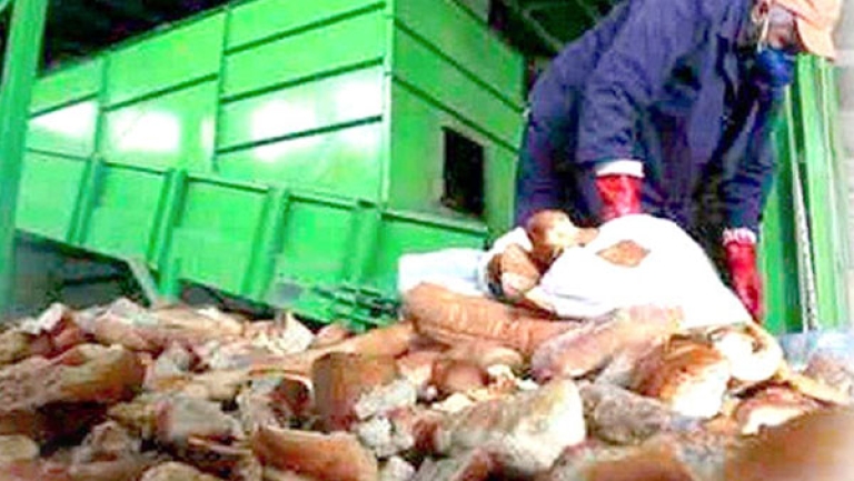 حملات واسعة للتحسيس بمخاطر الرمي العشوائي للنفايات