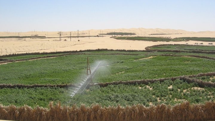 تدابير جديدة لتسوية نهائية لملف العقار الفلاحي